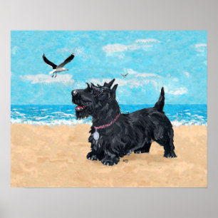Poster Terrier Escocês na Praia