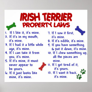 POSTER TERRIER IRLANDÊS PL2