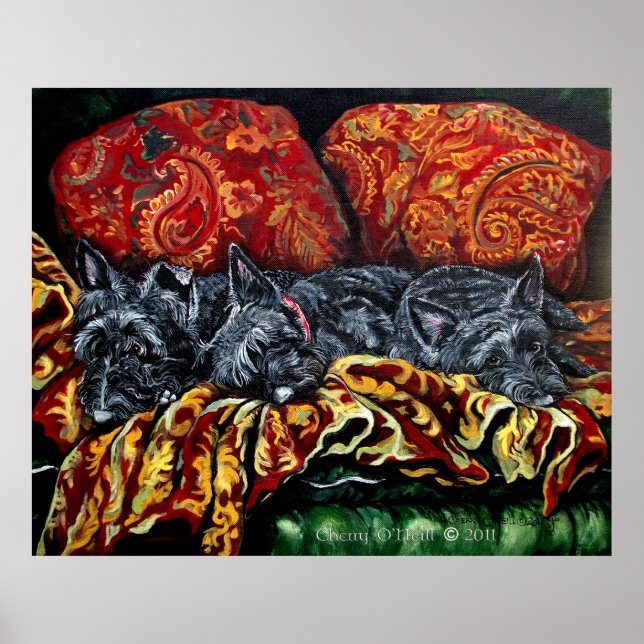 Poster Terrier Trio escocês (Frente)