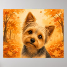 Terrier Yorkshire Outono Floresta Cão
