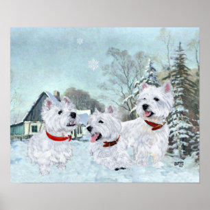 Poster Terriers Brancos do West Highland na Neve