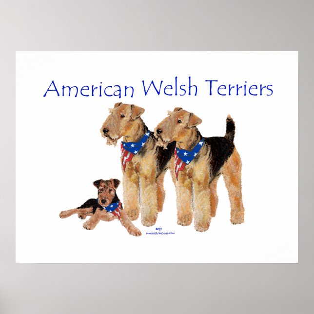 Poster Terriers galeses americanos (Frente)