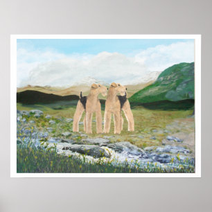 Pôster Terriers na Irlanda