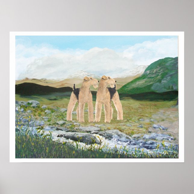 Pôster Terriers na Irlanda (Frente)