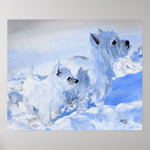 Poster Terriers West Highland White na Neve