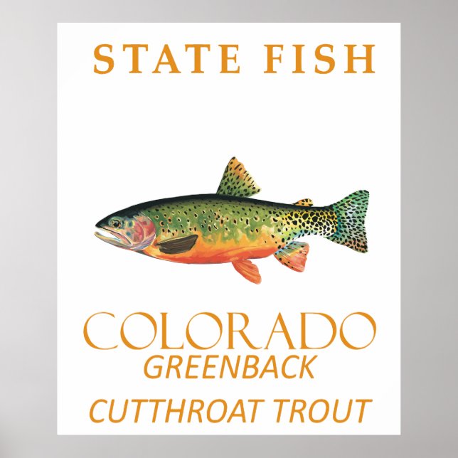 Poster Território do Colorado Peixe A Truta Greenback (Frente)