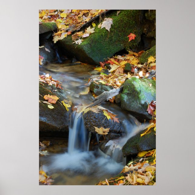 Pôster Teskawata Falls (Frente)