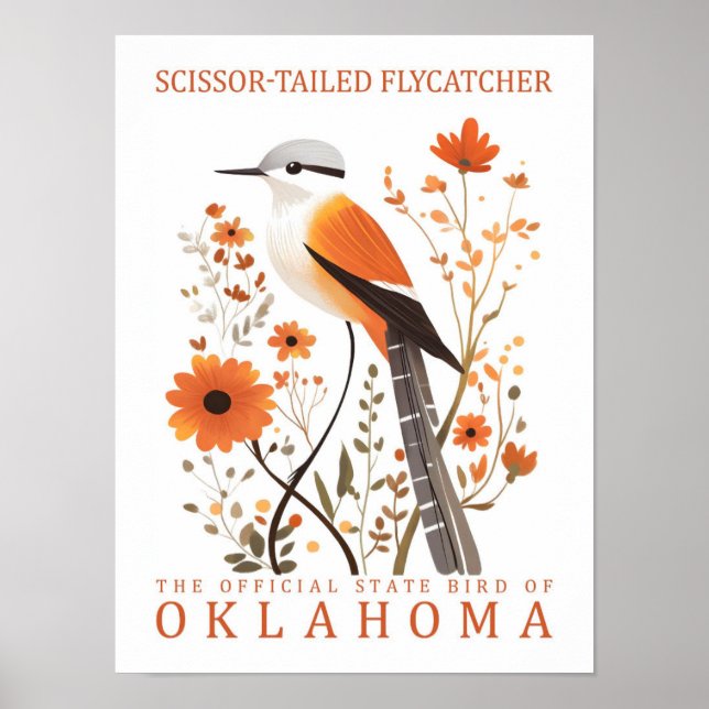 Poster Tesoura Tailed Flycatcher Bird de Oklahoma (Frente)
