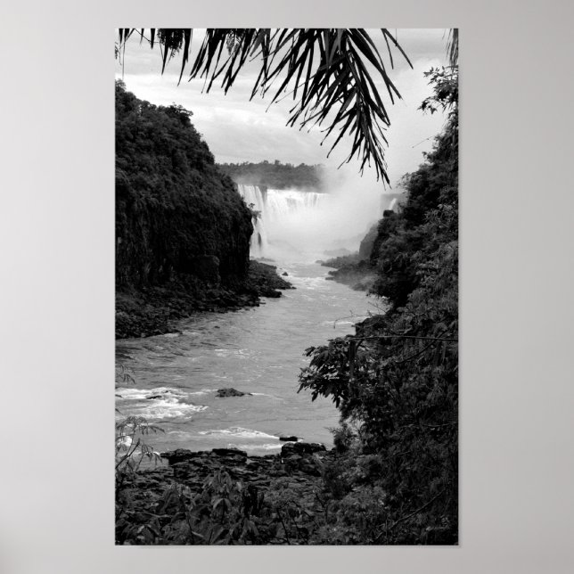 Pôster Tesouro na Selva (Frente)