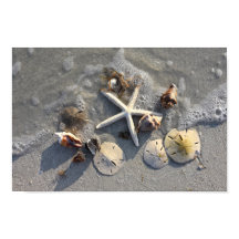 Tesouros da praia baixa