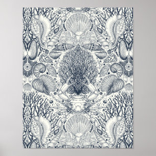 Poster Tesouros de praia, conchas marinhas, caranguejo, c