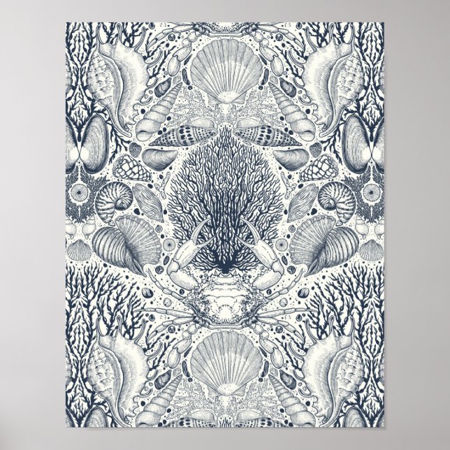 Poster Tesouros de praia, conchas marinhas, caranguejo, c (Frente)