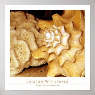 Pôster Tesouros de Sandy do mar