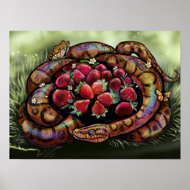 Pôster Tesouros guardados (Frente)