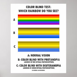 Poster Teste De Cores Cego Que Arco-Íris Você Vê?