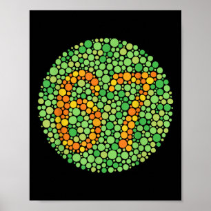 Poster Teste de Daltonismo 67 Seis Sete Professor Nu de B
