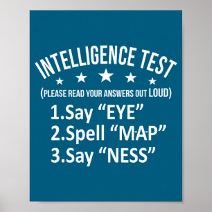Poster Teste de Inteligência Divertido Humor Sarcasmo Cur