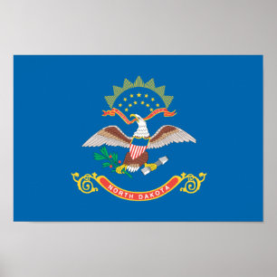 Pôster Teste padrão da bandeira de NORTH DAKOTA