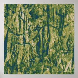 Poster Teste padrão da camuflagem do latido de árvore
