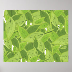 Pôster Teste padrão verde das folhas