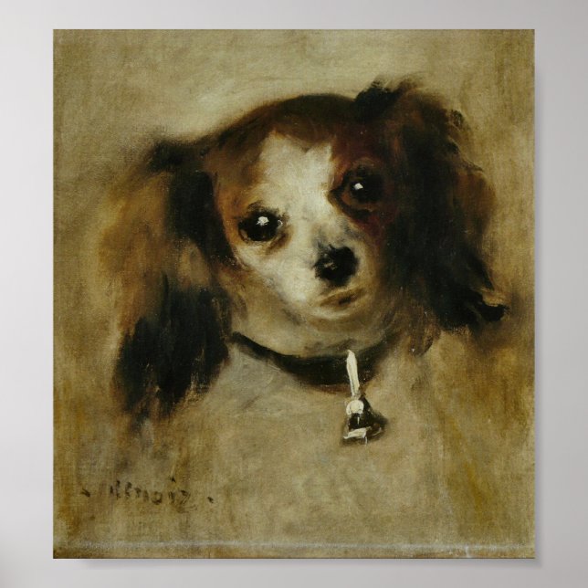 Pôster Tête de chien - Pierre Auguste Renoir (Frente)