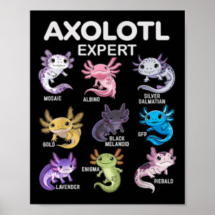 Poster Teto Axolotl Cute Para Meninos &amp; Raparigas Ou 