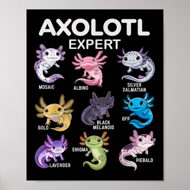 Poster Teto Axolotl Cute Para Meninos &amp; Raparigas Ou  (Frente)