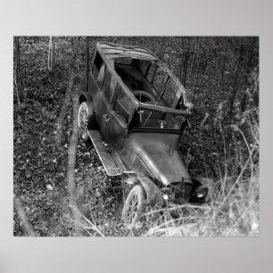 Poster Teto-solar livre: 1922