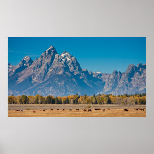 Pôster Teton grande