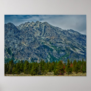 Pôster Teton NP 6901