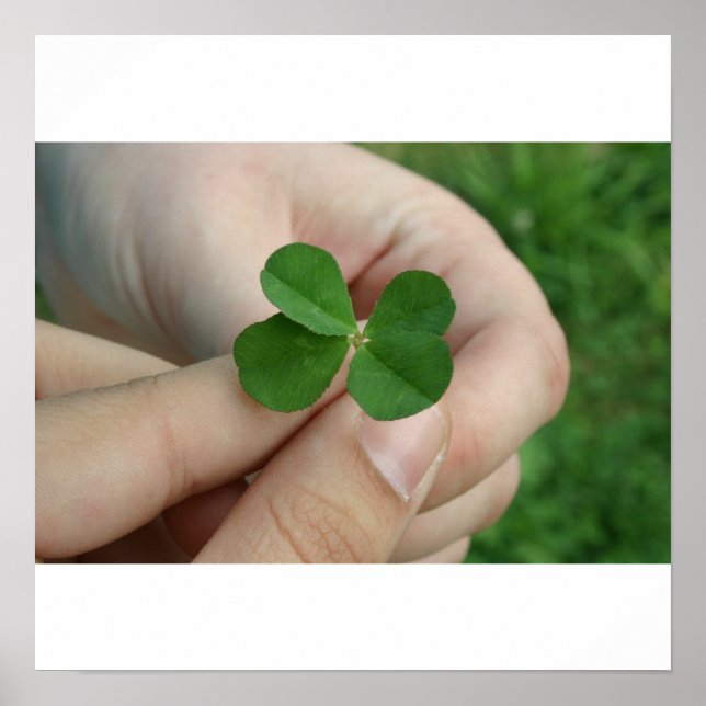 Poster Teve sorte? (Frente)