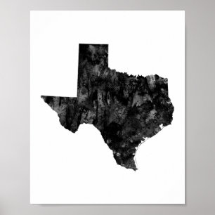 Pôster Texas