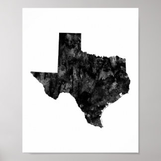 Pôster Texas