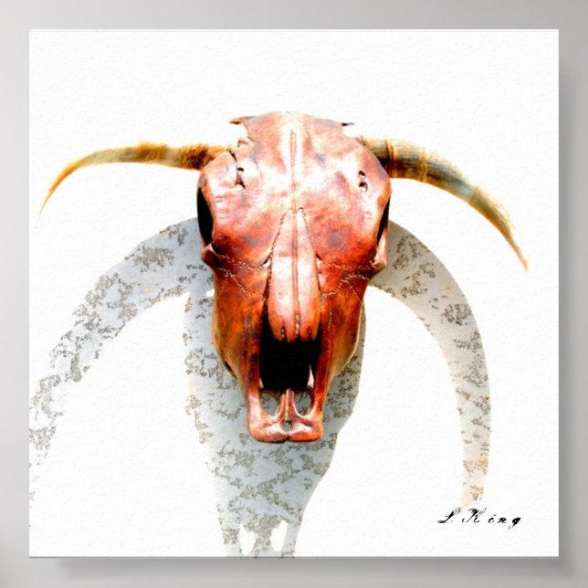 Poster Texas (Frente)