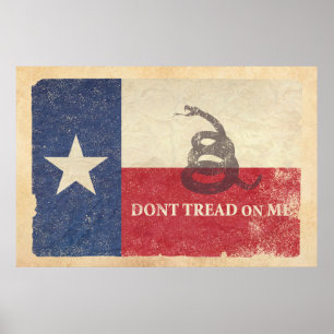 Poster Texas e Gadsden Flag