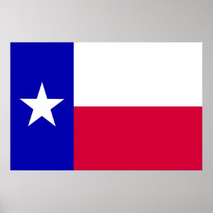 Pôster Texas Flag