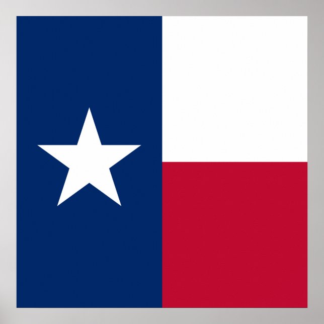 Poster Texas Flag: Longhorns, O Estado das Estrelas do Te (Frente)