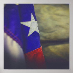 Poster Texas Flag Rustic Lone Star EUA