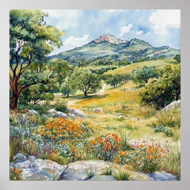 Poster Texas Hill Country (Frente)