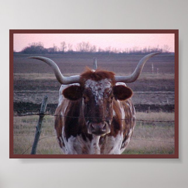 Poster Texas Longhorn (Frente)