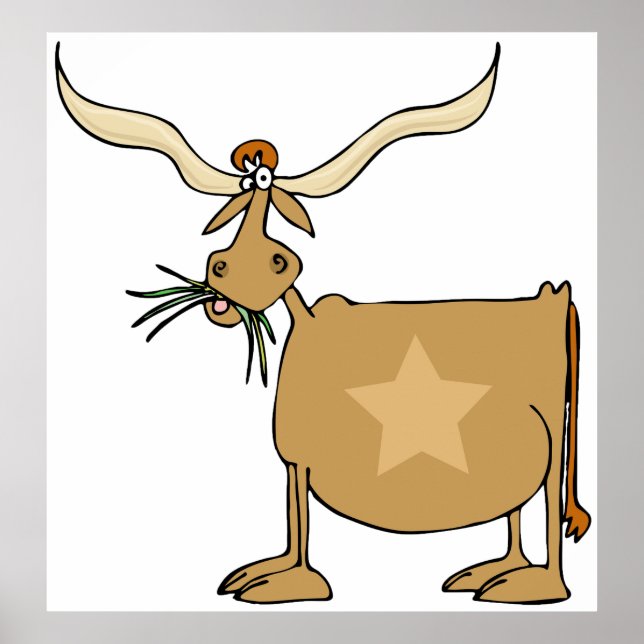 Poster Texas Longhorn Cow (Frente)