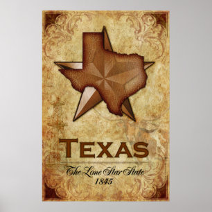 Pôster Texas - o estado solitário da estrela