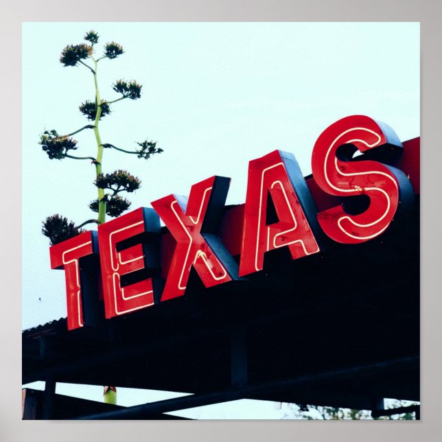 Poster Texas Red Neon Lights EUA América (Frente)