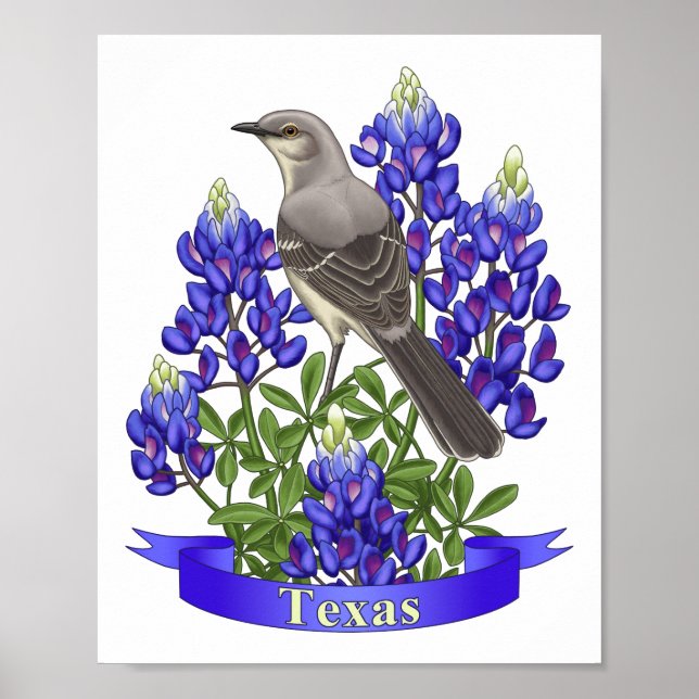 Pôster Texas State Mockingbird & Bluebonnet Flower (Frente)