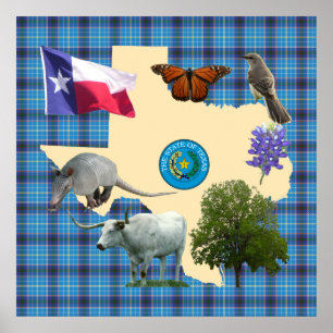 Poster Texas State Symbols