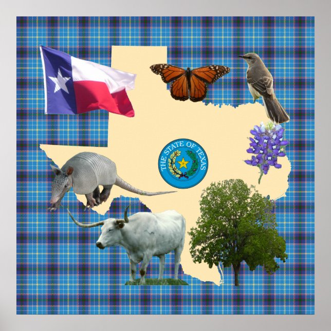 Poster Texas State Symbols (Frente)