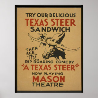 Pôster Texas Steer