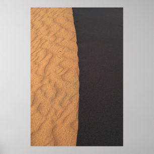 Poster Têxteis florais brancos e negros