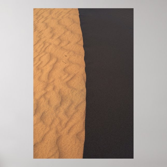 Poster Têxteis florais brancos e negros (Frente)