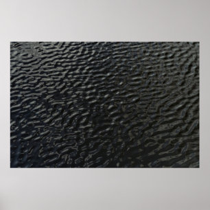 Poster Têxteis florais brancos e negros